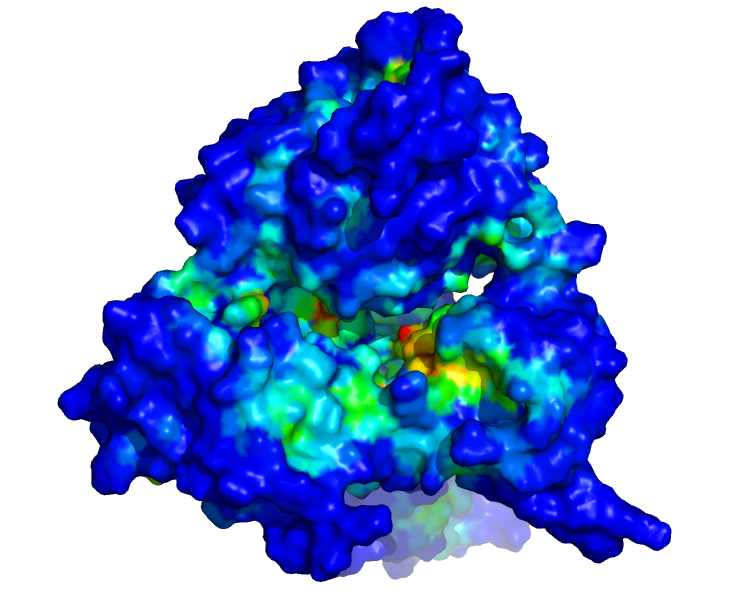 image showing the druggable binding cavity